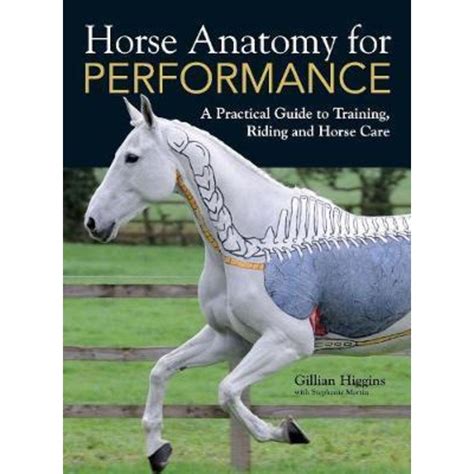 By gillian higgins horse anatomy for performance a practical guide to training riding and horse care 32812. - The oxford handbook of historical institutionalism.