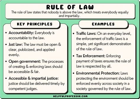 NCERT Solutions for Class 8 Social Science Civics Chapter 4 Understanding Laws. Question 1. Write in your own words what you understand by the term ‘rule of law’. In your response include a fictitious or real example of a violation of the rule of law. Two people jump the signal red light and are caught by the traffic policeman.. 