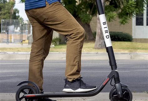 Byrd scooters. In the spring of 2021, Bird scooters came to the City of Sheboygan. They have returned for the 2022 season. Bird and any other scooter companies are ... 