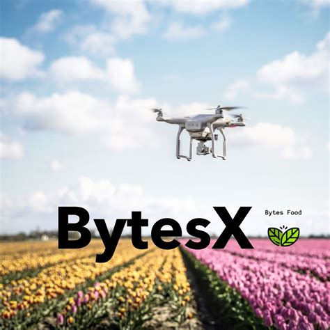 🍑 Bytesx Leaked [CLIP]