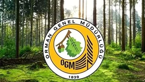 Cınarlıdere Orman İşletme Şefliği Orman Genel Müdürlüğü .