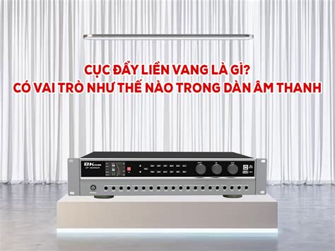 Cục đẩy liền vang là gì? Có vai trò như thế nào trong dàn âm thanh