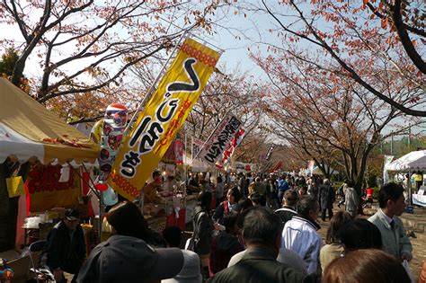 C会場 「みんなの広場」 八王子いちょう祭り（公式）