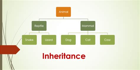 C++ program to demonstrate Inheritance MYCPLUS C and C++
