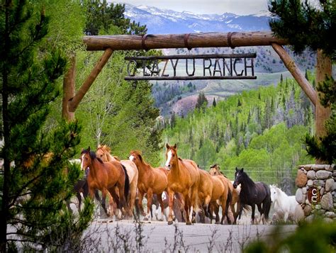 C lazy u ranch. Book C Lazy U Ranch, Granby on Tripadvisor: See 311 traveler reviews, 238 candid photos, and great deals for C Lazy U Ranch, ranked #1 of 4 B&Bs / inns in Granby and rated 5 of 5 at Tripadvisor. 