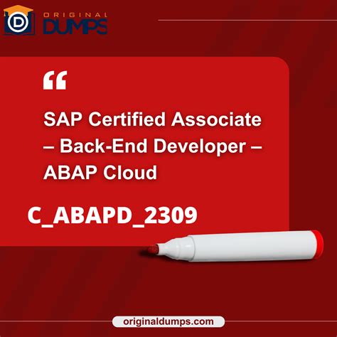 C-ABAPD-2309 Prüfungs
