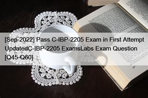 C-IBP-2205 Praxisprüfung