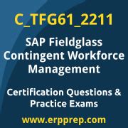 C-TFG61-2211 Online Test