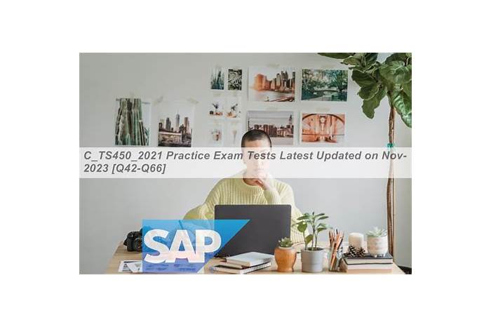 Get an Attractive Score in SAP C_TS450_1909 Certification Exam Sns-Brigh10