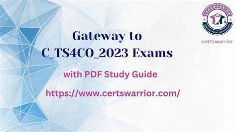 C-TS4CO-2023 Exam Guide