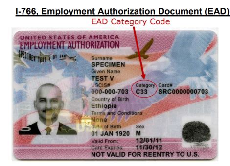 When an employee presents an EAD whose original “Card Expires” date has passed, employers should determine if it is a TPS or DED EAD that has been automatically extended and is therefore valid for Form I-9 purposes. Look at the “Category” section on the expired EAD. “A12” or “C19” indicate TPS and “A11” indicates DED.