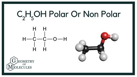 C2h5oh polar or nonpolar. Expert Answer. 2. Explain whether the following molecules are polar or nonpolar, using VSEPR theory: SF, and NHz. 3. Compare the melting points of the following molecules and explain the reason: LiF, NaF, CsF. Do not write down temperatures only (15 p). 