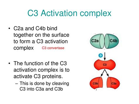 C3 Functions
