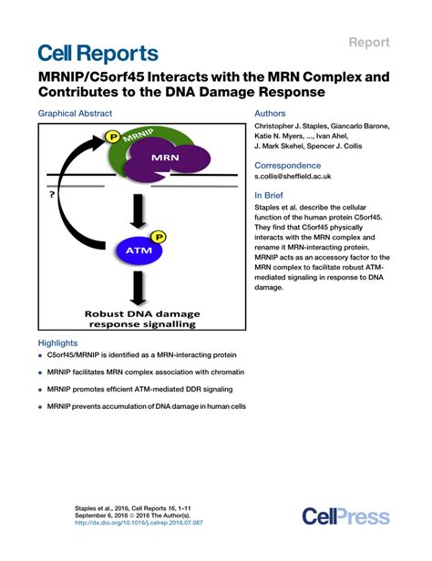 C5orf45 (MRNIP) (NM_016175) Human Recombinant Protein …