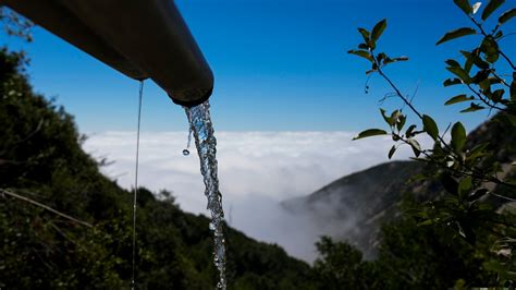CA orders bottled water company to stop drawing from some San Bernardino Mountain springs