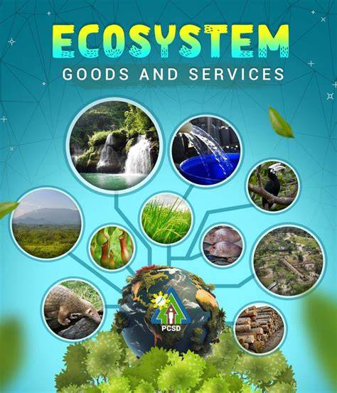 Cactus ecosystem goods and services - CGIAR - raincitystudios.com