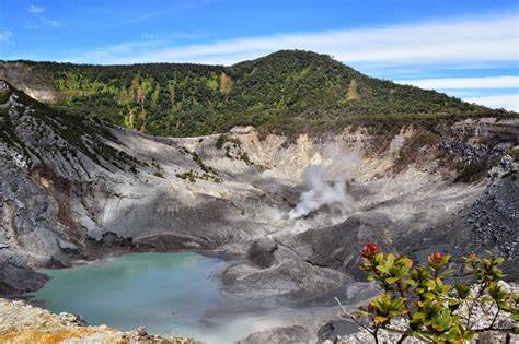Cagar Alam Gunung Tangkuban Perahu - Wikipedia bahasa … - raincitystudios.com