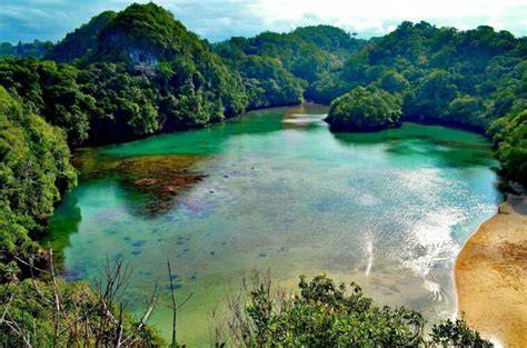 Cagar Alam Pulau Sempu - Balai Besar KSDA Jawa … - raincitystudios.com