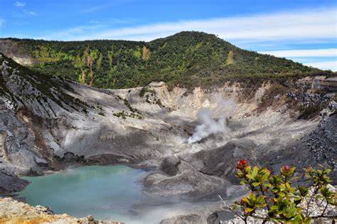 Cagar Alam Tangkuban Perahu - Wikipedia bahasa Indonesia, … - raincitystudios.com