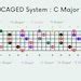 CAGED System Guitar Chord Chart Fretboard Diagram Printable Chord Chart