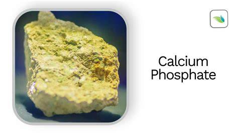 Calcium Phosphate - Organic Materials Review Institute - raincitystudios.com