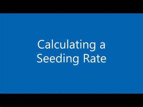 Calculating Proper Seeding Rate for Food Plot Success - raincitystudios.com