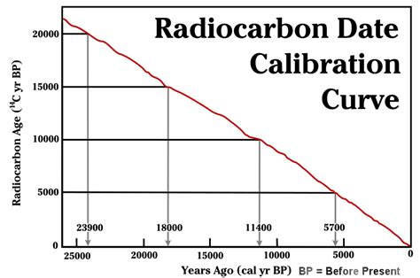 Calculation of radiocarbon dates - wintechmobiles.com