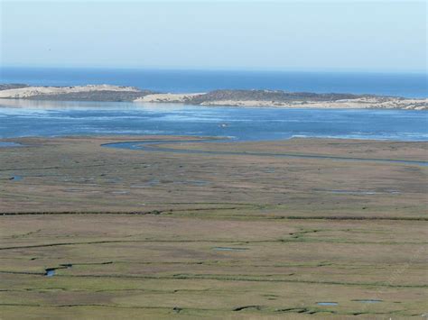 California coastal salt marsh - muktibox.com
