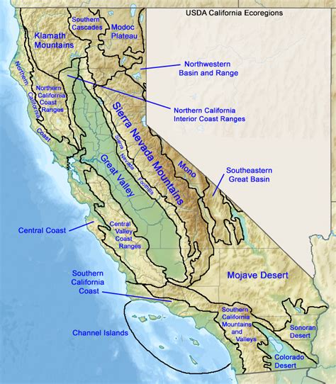 California Herps - muktibox.com