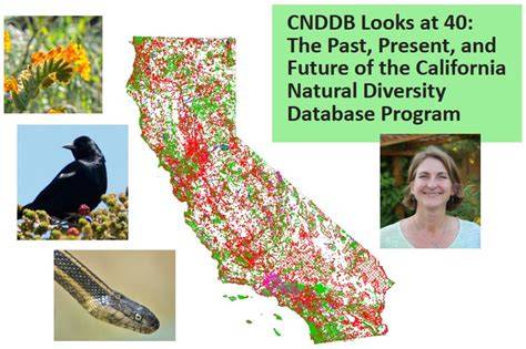 California Natural Diversity Database - raincitystudios.com