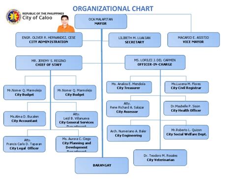 Caloocan City Government Organizational Chart - wintechmobiles.com