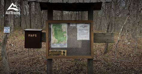 Calverton Pine Barrens State Forest Loop - AllTrails - raincitystudios.com