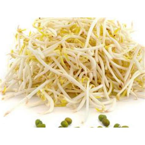 cambah - elchoricharrua.com