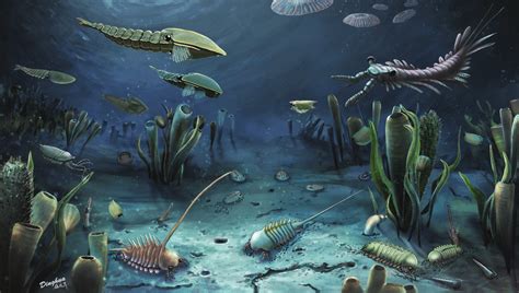 Cambrian explosion | Evolution, Paleontology - muktibox.com
