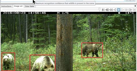 Camera trap software - ZSL - muktibox.com