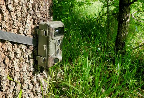 Camera Trapping for Wildlife Research & Management - muktibox.com