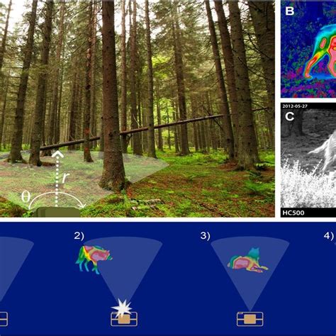 Camera-trapping for conservation: a guide to best-practices - muktibox.com