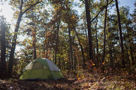 Camping in the Pine Barrens - Pinelands Alliance - raincitystudios.com