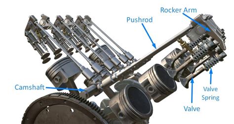 CAMS Examengine