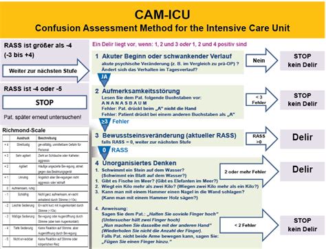 CAMS-Deutsch PDF