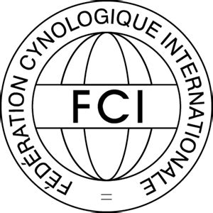 CAMS-FCI PDF