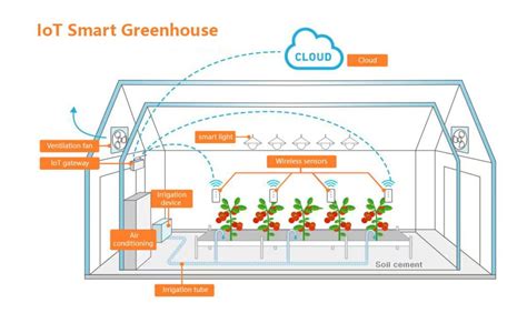 Can AI predict the impact of its implementation in greenhouse farming ... - coolestguyplanet.net