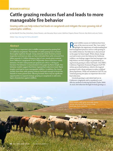 Can cattle grazing substitute fire for maintaining appreciated pine ... - raincitystudios.com