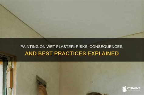 Can I Paint Wet Plaster - muktibox.com