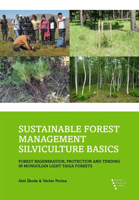 Can intensive silviculture contribute to sustainable forest management ... - raincitystudios.com