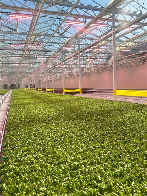 Canada Greenhouse Kits | Palram-Canopia … - raincitystudios.com