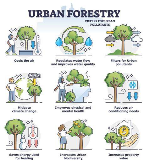 Canadian Urban Forest STRATEGY - Tree Canada - raincitystudios.com