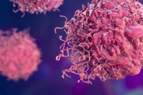 Cancer Biology & Therapy | Journal | Taylor & Francis … - muktibox.com