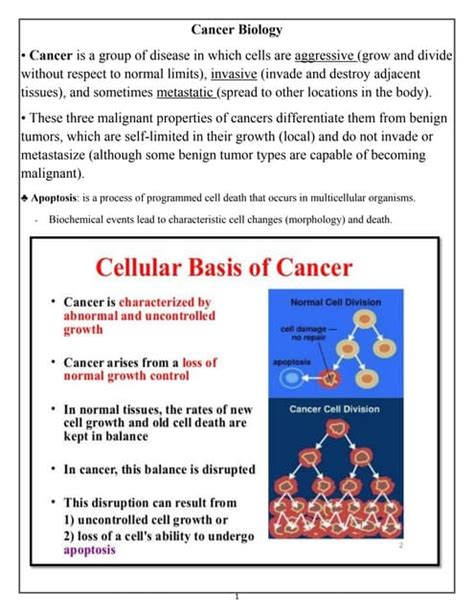 Cancer Biology - MIT Department of Biology - muktibox.com