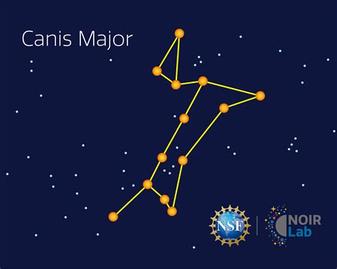 Canis Major Constellation | Facts, Information, Mythology & History - muktibox.com